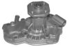 RENAU 7701461336 Water Pump